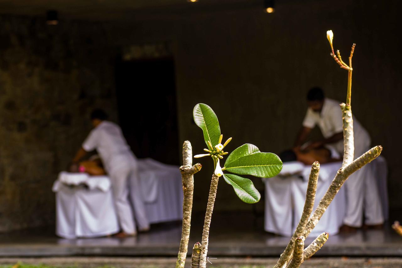 Santani Wellness Kandy Exterior foto